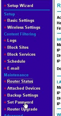 Selecting Set Password from the WAP main menu