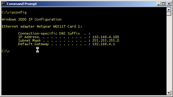 Results of the ipconfig command