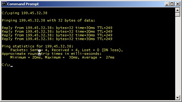 Pinging one of the DNS servers